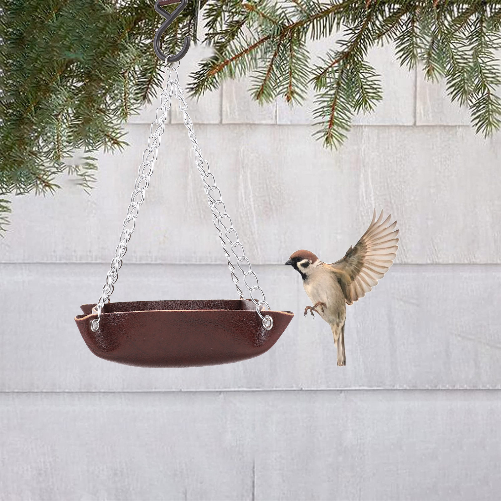 Mangeoire pour oiseaux, transp - Feeding avis et prix